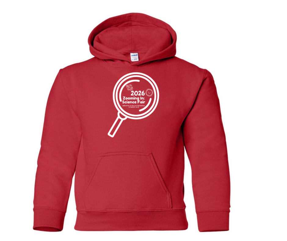 Youth Hoodie