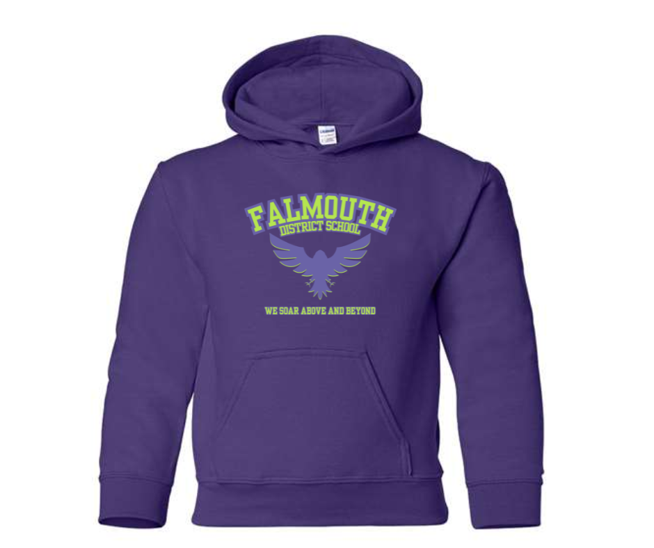 FDS Youth Hoodie